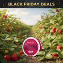 BLACK FRIDAY: ZYN Nicotine Pouches 4 for £10.00